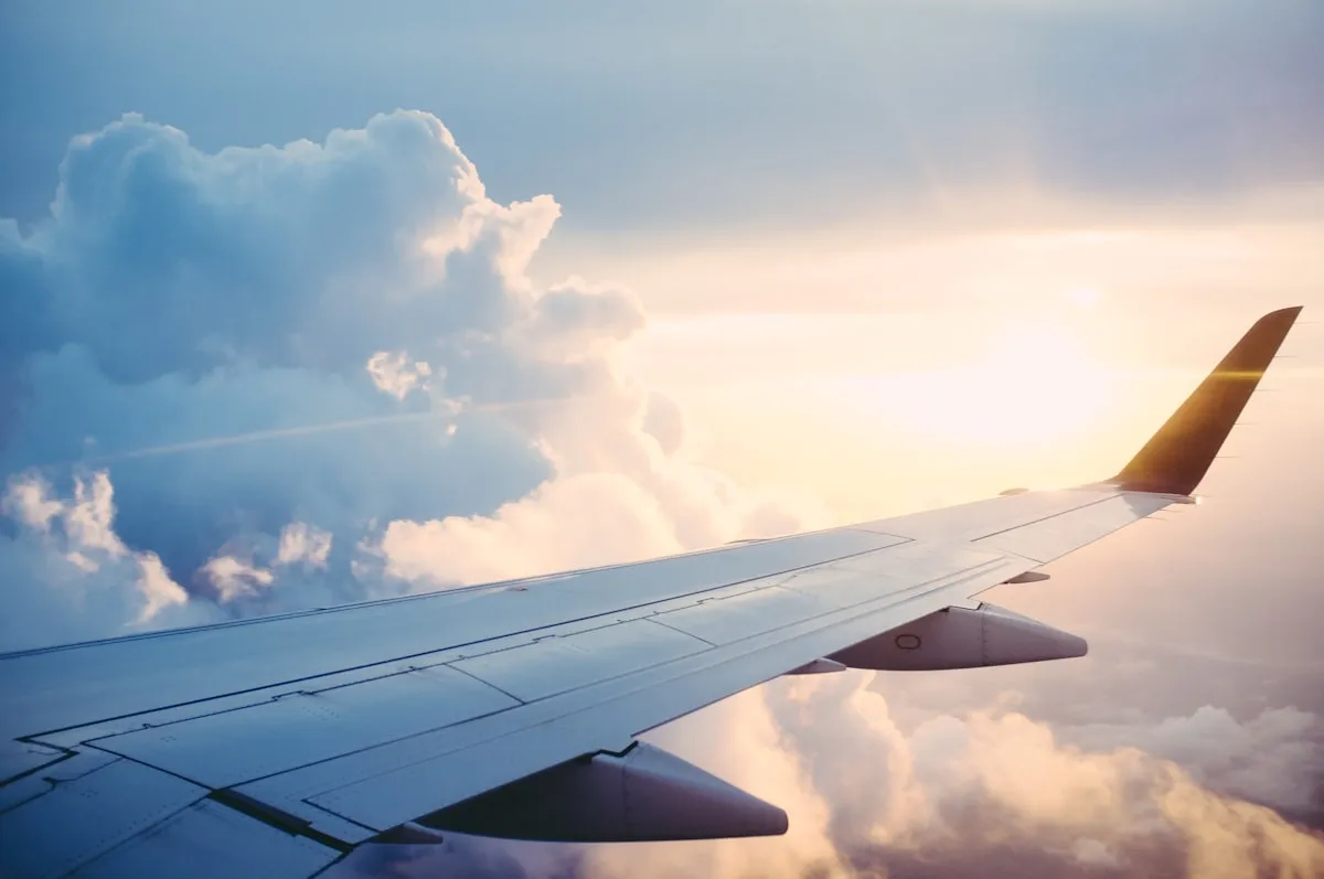 Pre-Departure