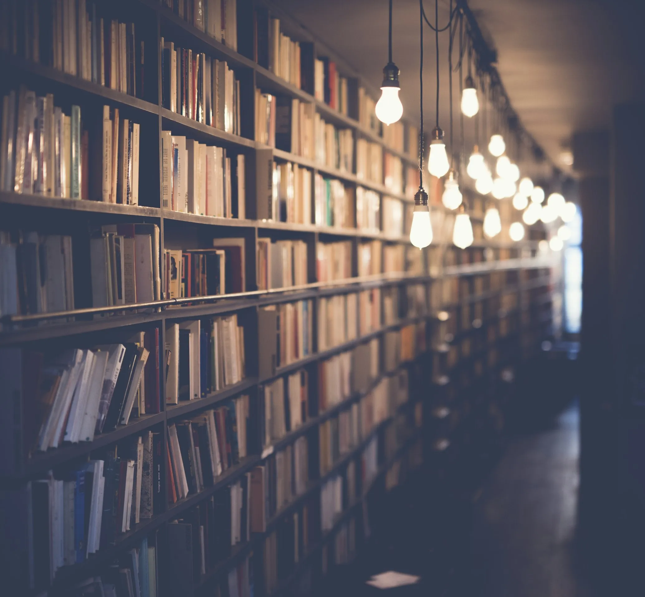 Scholarships & Funding